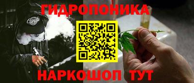 прущие крисы Аргун